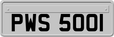 PWS5001