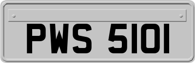 PWS5101