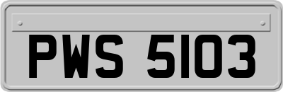 PWS5103