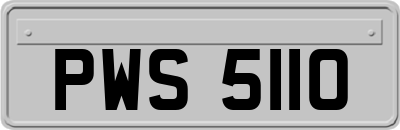 PWS5110