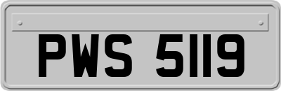 PWS5119