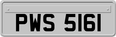 PWS5161