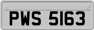 PWS5163