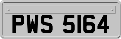 PWS5164