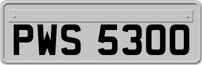 PWS5300