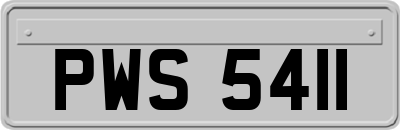 PWS5411