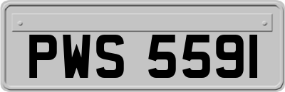 PWS5591