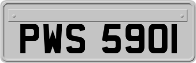 PWS5901