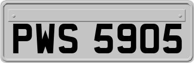 PWS5905