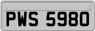 PWS5980