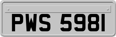 PWS5981