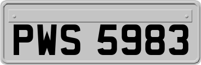 PWS5983