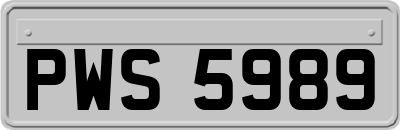 PWS5989