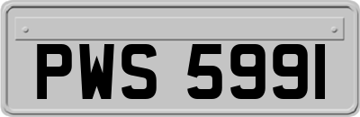 PWS5991