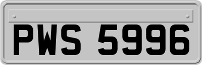 PWS5996