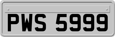 PWS5999