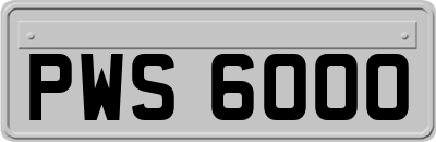 PWS6000