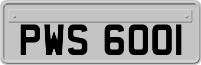 PWS6001