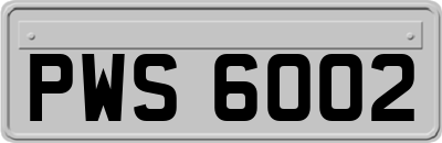 PWS6002