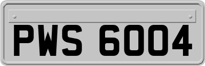 PWS6004