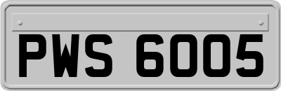 PWS6005