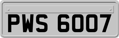 PWS6007