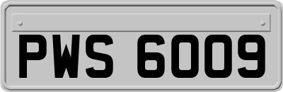 PWS6009