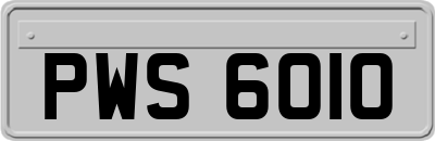 PWS6010