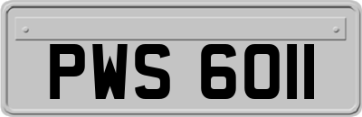 PWS6011