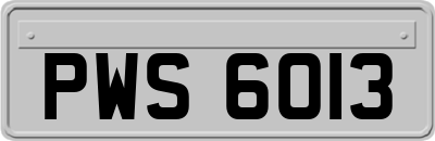 PWS6013