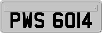 PWS6014