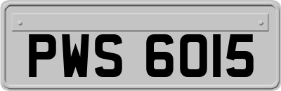 PWS6015