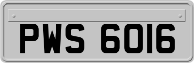 PWS6016