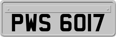 PWS6017