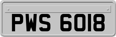 PWS6018