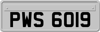 PWS6019