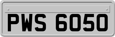 PWS6050