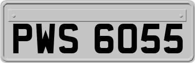 PWS6055