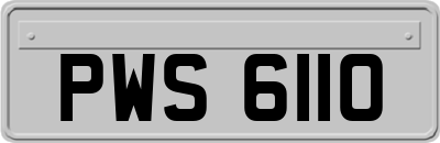 PWS6110