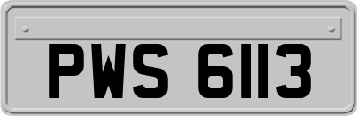 PWS6113