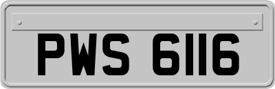 PWS6116