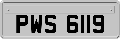 PWS6119