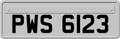 PWS6123