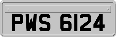 PWS6124