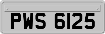 PWS6125