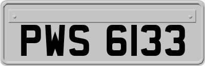 PWS6133