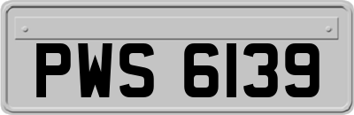 PWS6139