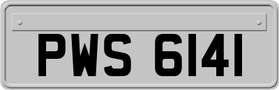 PWS6141