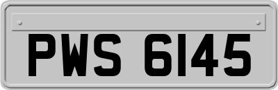 PWS6145