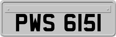 PWS6151